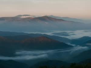 Morning mist over the Blue Ridge Mountains — presumption of undue influence in Florida will contests