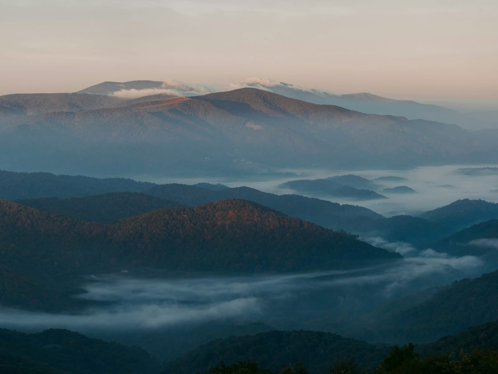 Morning mist over the Blue Ridge Mountains — presumption of undue influence in Florida will contests